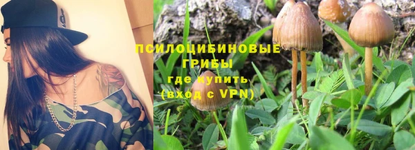 дурь Алексин