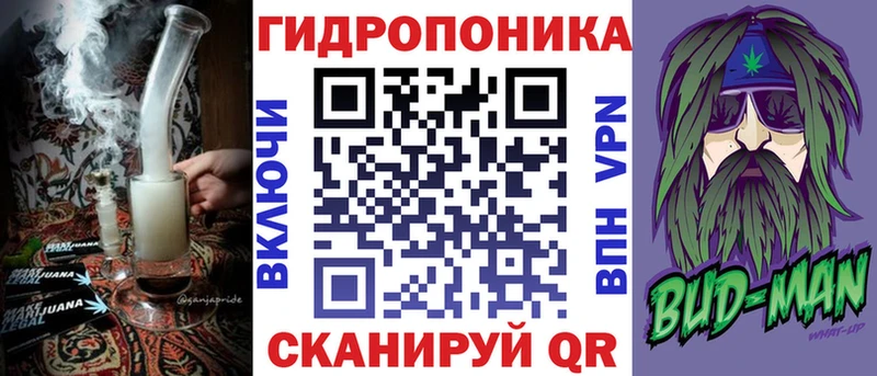 Шишки марихуана план Юрьев-Польский
